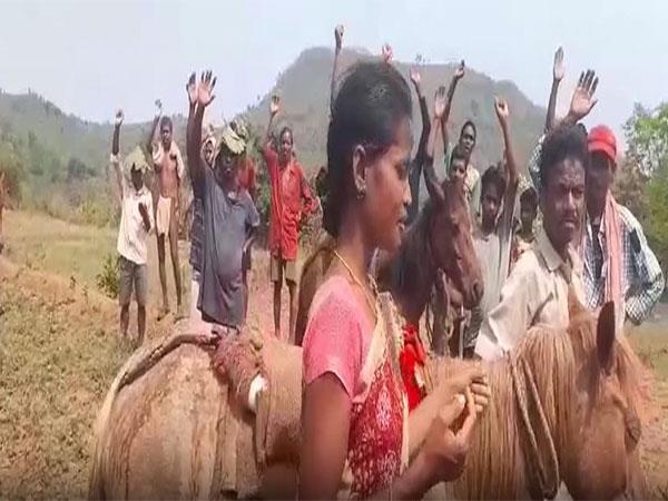 First roads, then votes: Tribals in Visakhapatnam protest by travelling on horses